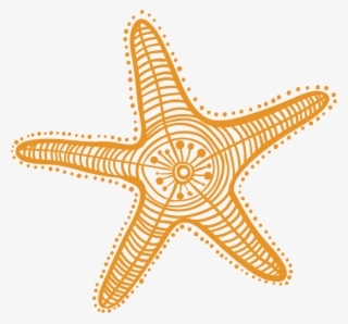Starfish Drawing Cartoon Clip Art - Estrellas De Mar Dibujo #5214649