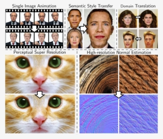 Image Transformation Tasks #5217153