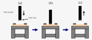 Process Of The Mucoadhesive Test By The Texture Analyzer - Mucoadhesion #5220211