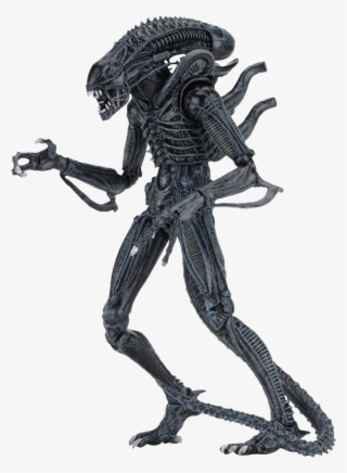 Alien Warrior 7” Ultimate Action Figure Assortment - Aliens Figure #5220593