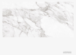 Керамогранит Argenta Carrara Carrara White Shine Белый - Ceramic #5221815