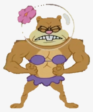 Sandy Transparent 11 - Wiki #5222546