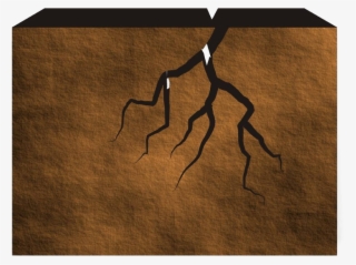 Png Download Adobe Illustrator Cracked Stone Png Transprent - Plywood #5223056