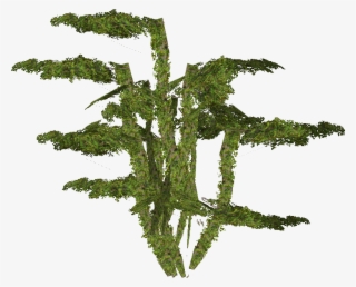 Brush Cherry - Jurassic Park Operation Genesis Iguanodon #5223864