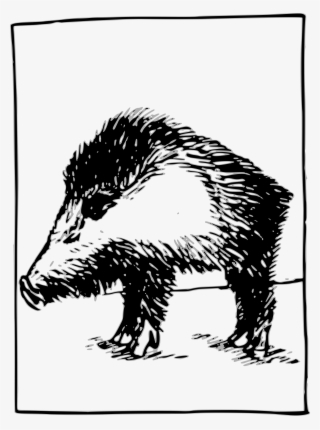 Year Of The Boar - Punxsutawney Phil #5224786