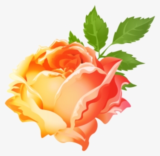 Orange Rose Png #5225225