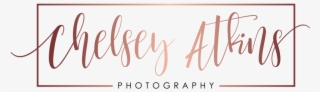 Orange Rose Png #5225910