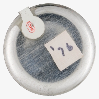 Dipper & The Bucket Theory Button Back Social Lubricators - Number #5227291