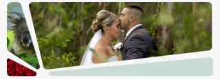 Home - Das Koala Hospital - So Schmeckt Australien! [regio #5230150