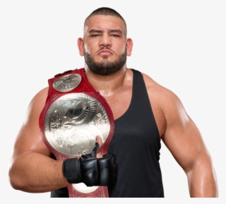 Next - Wwe The Aop Raw Tag Team Champions #5237148