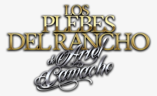 Ariel Camacho Png Image Black And White #5239370
