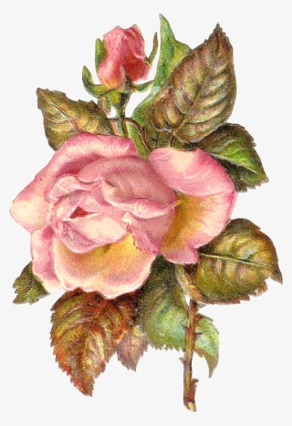 This Is An Antique Frame Illustration From An Antique #5246336