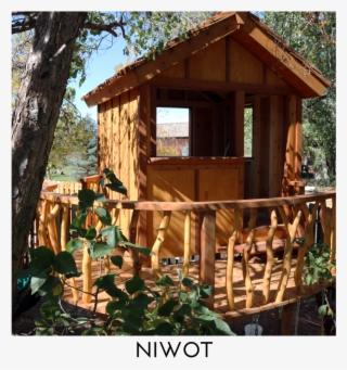Niwot Square Title - Tree House #5248887