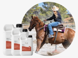 Excel Eq - Equestrianism #5249994