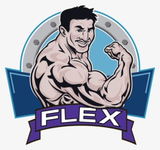 Flex-logo - Sarnies #5251250