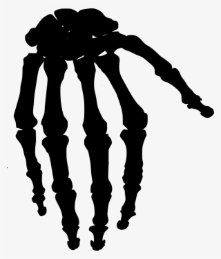 Download Png - Bone #5255111