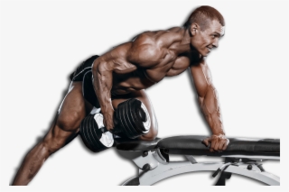 Couple Essentials - Bodybuilding #5255516