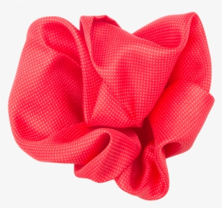 Garden Roses #5256160