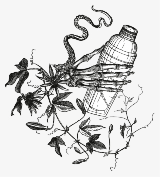 Skull Eyeball Van Shaker Dragonfly - Portable Network Graphics #5256162