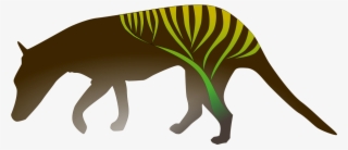 Michael Charleston And The Rest Of The Theoretical - Kangaroo #5258383