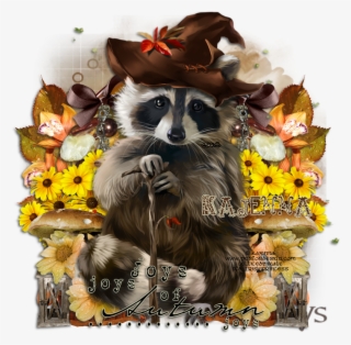 Racoon Ptu Tut #5258957