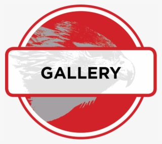 Icon Gallery - Gallery Red Icon Png #5259020