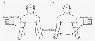 Illustration Of The Data Recording Method Used To Collect - Barechested #5259912