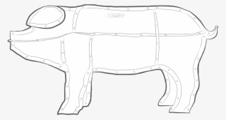 We Unscientifically Document Pig, An Art Production - Doodle #5261352