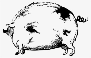 This Free Icons Png Design Of Freaky Pig #5261403