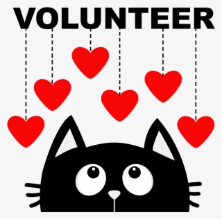 Volunteerimage Nbg - Cute Black Cat Cartoon #5261916