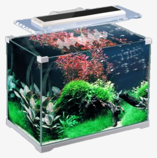 Aquarium Png - Sunsun Atk 350 #5262368
