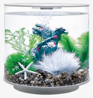 Biorb Tube - Biorb Flower Garden #5262607