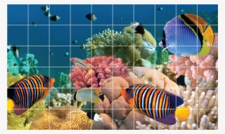 60 Stickers Carrelages Theme Aquatique Ambiance Sticker - Marine Decals By Ambiance Sticker - Marine Fauna 60-piece #5262869