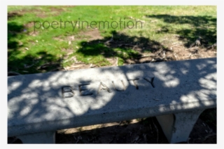 Malibu Park Bench Wm #5263451
