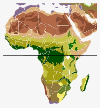 Vegetation Africa Blank - Climate Change In Savannas #5265723