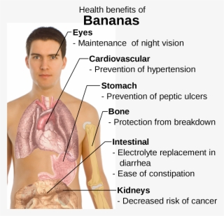 Open - Benefits Of Eating Bananas #5270498