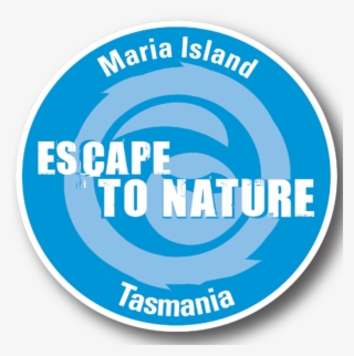 Visitors Explore The Island To Disconnect From Ordinary #5271580