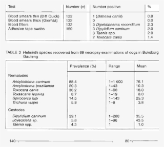 Results Of Blood Samples And Adhesive Tape Swabs Examined - Number #5271818