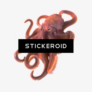 Octopus - Schleich Giant Octopus 1:32 #5271927