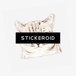 Grumpy Frowning Gloomy Somber Sulky Серьёзный Суровый - Duke Nukem Forever Box Art #5273200