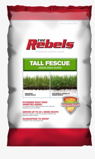 Rebel Tall Fescue Blend 7lb - Pennington Seed Inc 3-lb. Rebel Fescue Seed #5276422