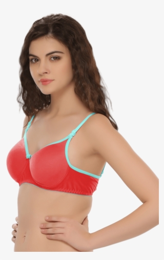Padded Non Wired T Shirt Bra - Bra #5276535 Padded Non Wired T Shirt Bra - Bra #5276535