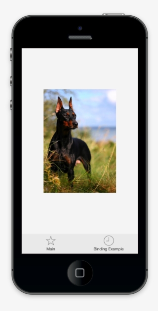 It Minimizes The Amount Of Lines Of Code You Have To - Dobermann #5278098