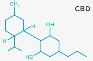 Research Studies - Thc Component #5280252