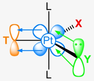 Trans Effect Trigonal Bipyramidal Intermediate Pi Orbitals - Trans Effect #5280420