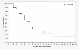 Kaplan Meier Survival Plot For Knee Pain Recovery In - Cell #5281647