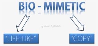 Biomimetic Dentistry Replicates The Strength, Function, - Biomimetics In Dentistry #5282596