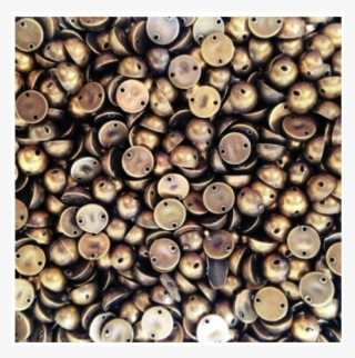 Chatons Liso 6mm - Silver #5283852