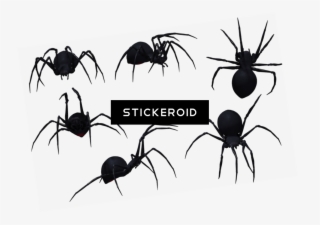 Spider Insects - Free Hugs (with Spiders) T-shirt Amazing Halloween #5286032