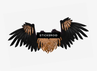 Wings Black And Brown Crow - Clip Art #5286206